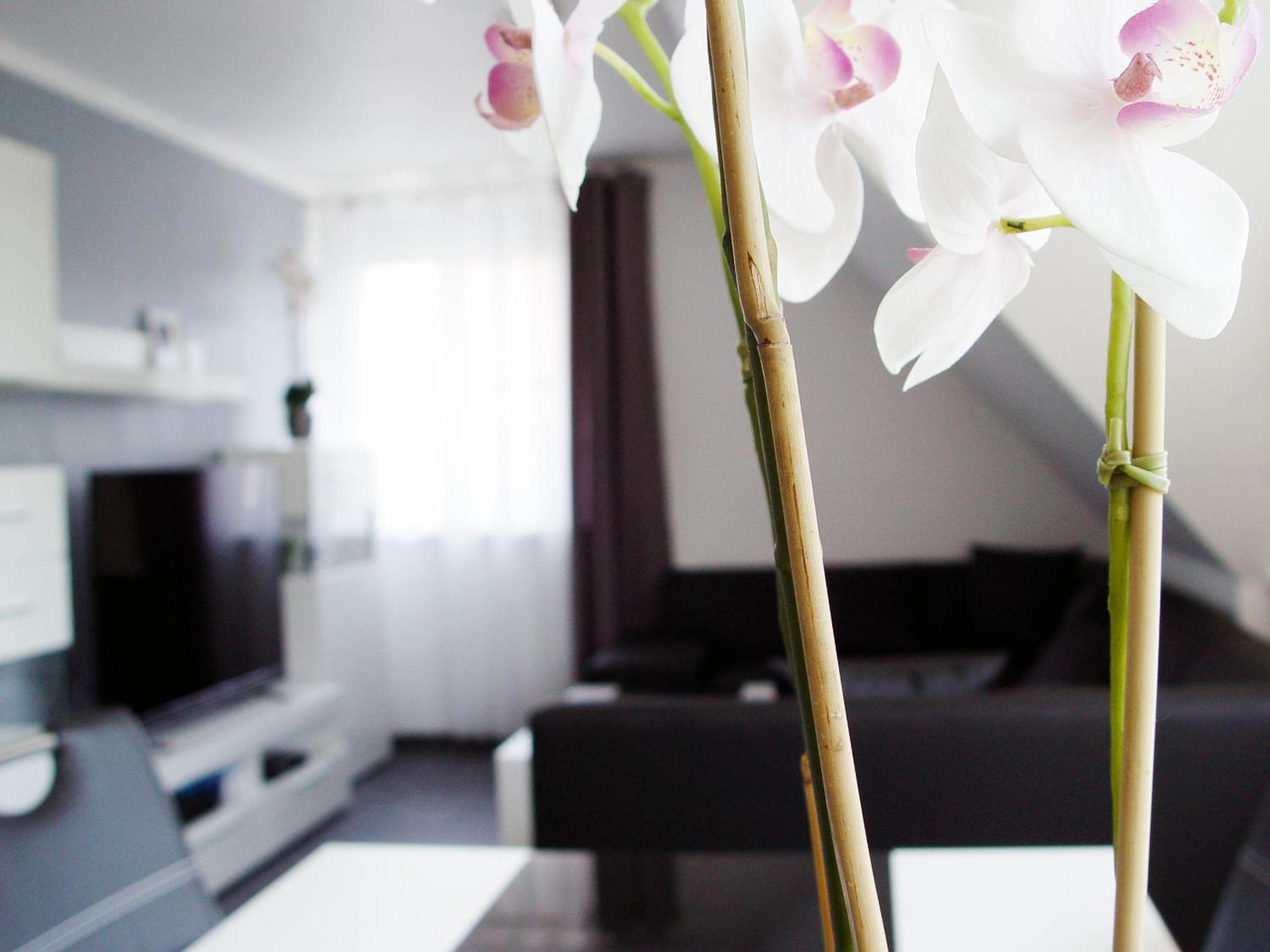 La Domus Premium Apartment Lotte ภายนอก รูปภาพ